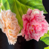 Foulard fiori